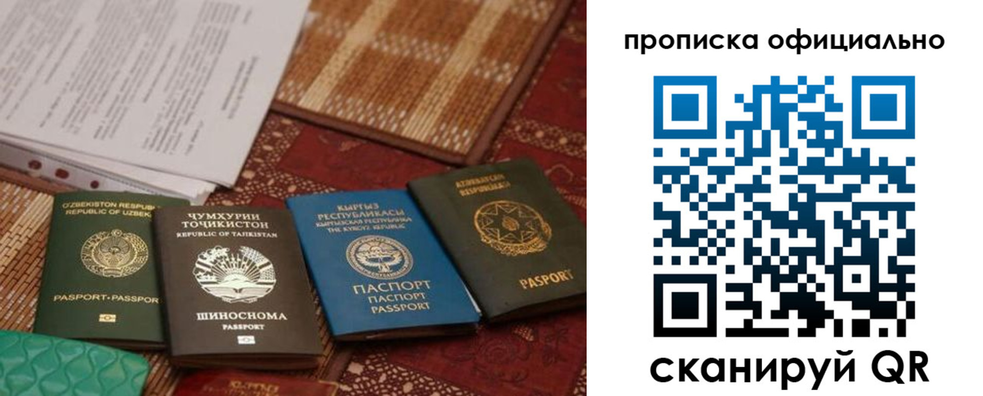 где прописаться в Камышине